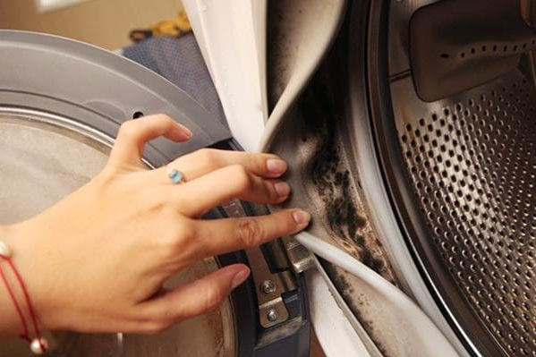 Цвіль на ущільнювальній гумці пральної машини