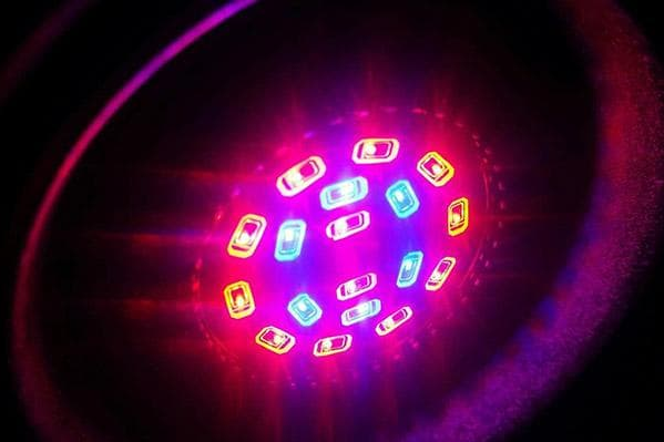 Фітосвітильник