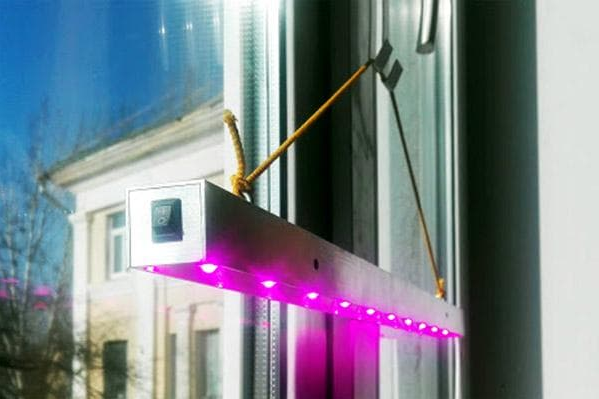 Саморобна фітолампа