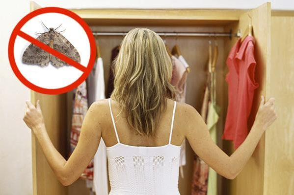 Моль у шафі з одягом