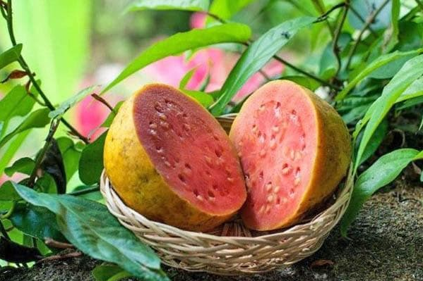 Стигла гуава з червоною м'якоттю