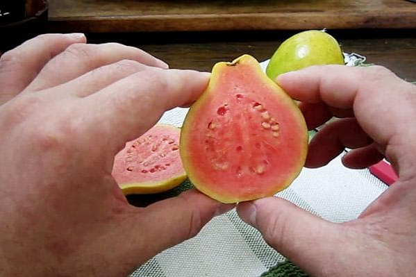 Гуава у розрізі