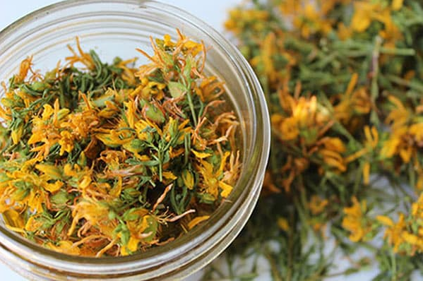 Квітки звіробою