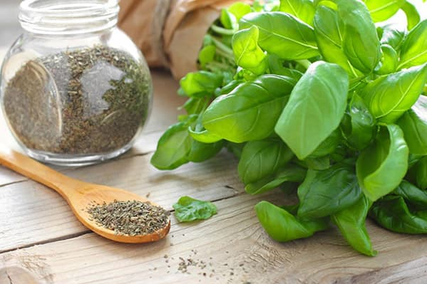 Сушений та свіжий базилік