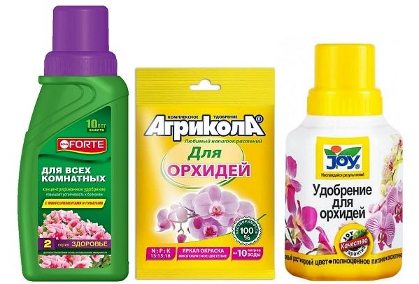 Склади для підживлення домашніх квітів