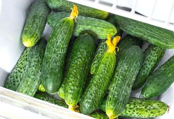 Огірки в холодильнику