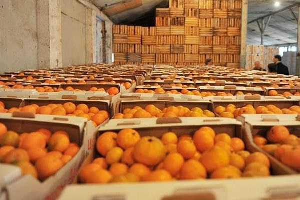 Мандарини в ящиках на складі
